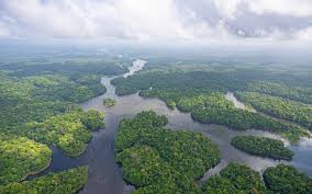 Methane Emissions From Tropical Wetlands: A Growing Threat To Global Climate Goals