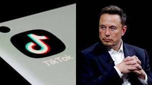 Elon Musk's Stance On TikTok Acquisition: An Analytical Perspective