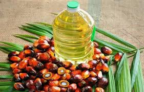 Is It The End of Cheap Palm Oil? Market Shake-Up and Industry Response