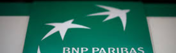 BNP Paribas Faces Challenges Amid Mixed Earnings Report, Signaling Broader Economic Concerns