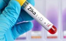 Crisis and Profit Potential Spur Zika Vaccine Race