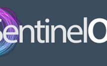 $70 Million Raised by SentinelOne, a Cybersecurity Start-up Backed by Ashton Kutcher