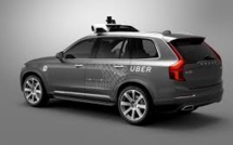 After Arizona Crash, Self-Driving Car Program Suspended By Uber