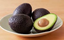 Chilean Avocado Exports Gaining Fast Popularity In China