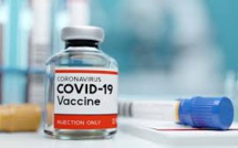 Pilot Delivery Program In US To Be Launched By Pfizer For Its Covid-19 Vaccine