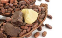 Chocolate Traders Not Paying Farmers Living Wage Premium, Alleges Ivory Coast