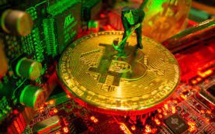 Bitcoin Miners Elude The Bear Trap In The Cryptoverse