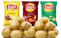 PepsiCo's Appeal Against The Cancellation Of The Potato Patent Is Rejected By An Indian Court