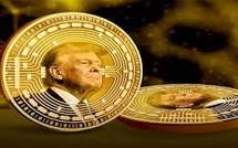 Intersection of Politics and Cryptocurrency: Analyzing the Implications of President Trump's $TRUMP Meme Coin