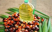 Is It The End of Cheap Palm Oil? Market Shake-Up and Industry Response