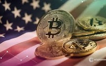 US Crypto Strategy Sparks European Financial Fears